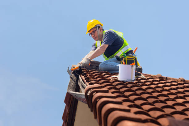 Best Roof Insulation Installation  in Stryker, OH